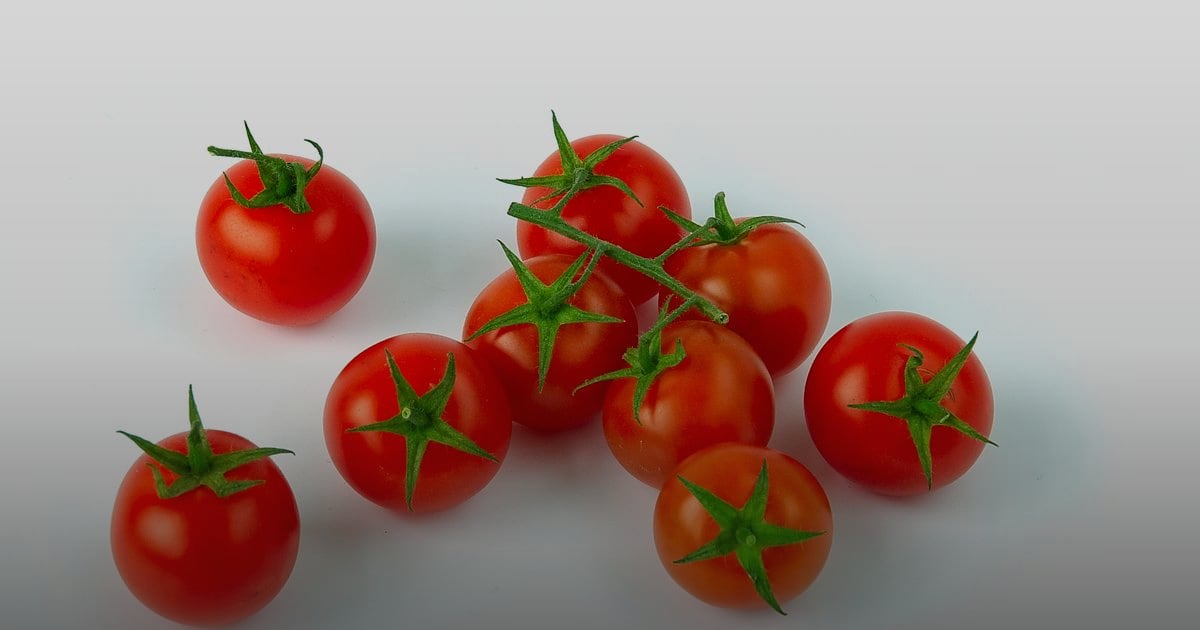 Tomatinho Cereja